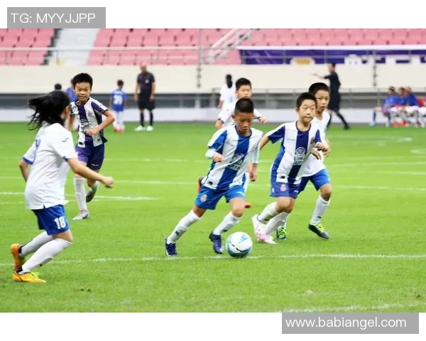 中国足球教练的现状与未来发展探讨及其对球队的影响分析